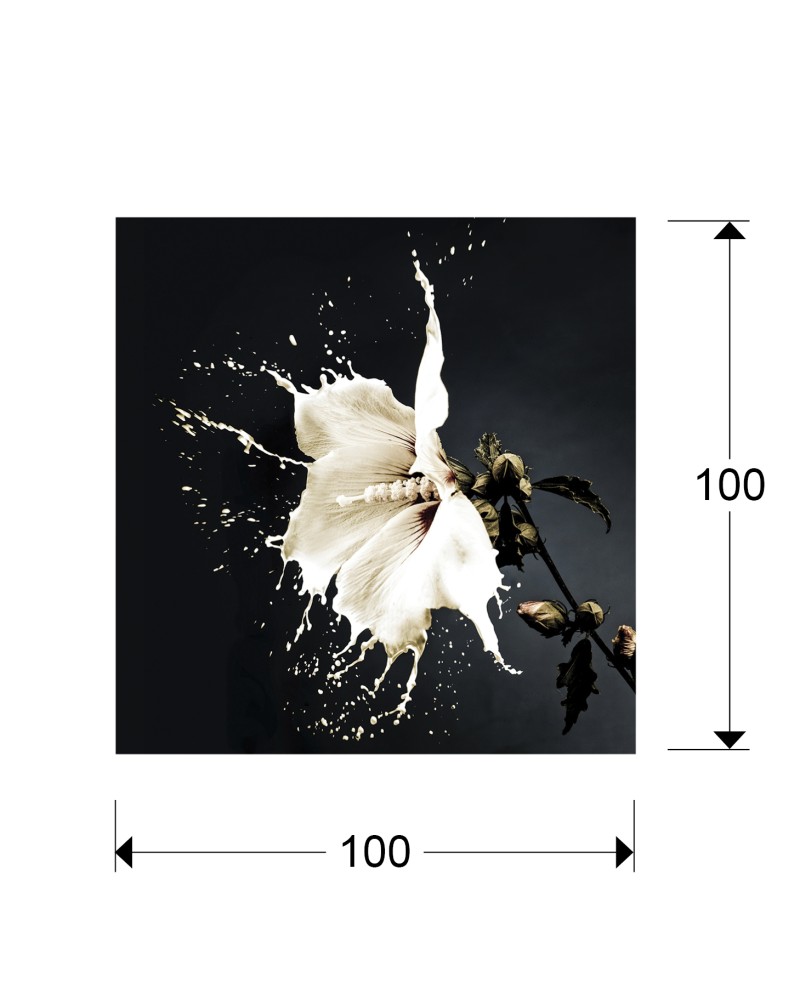 FOTO ·SPLASH· 100x100